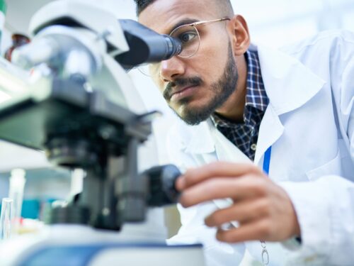 A bearded man with glasses gazes into a microscope in a lab